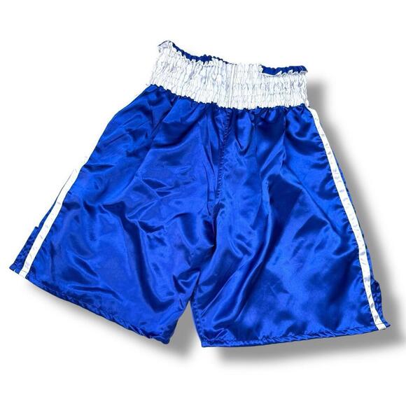 Benza Fight to End Blue Boxing Shorts SzL Polyester Satin Kickboxing Trunks Thai - Picture 2 of 8